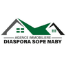 Diaspora Sope Naby logo